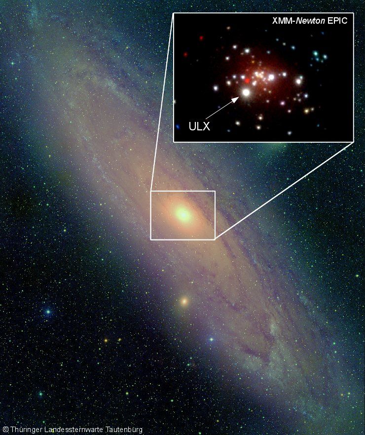 Andromeda's Supermassive Black Hole